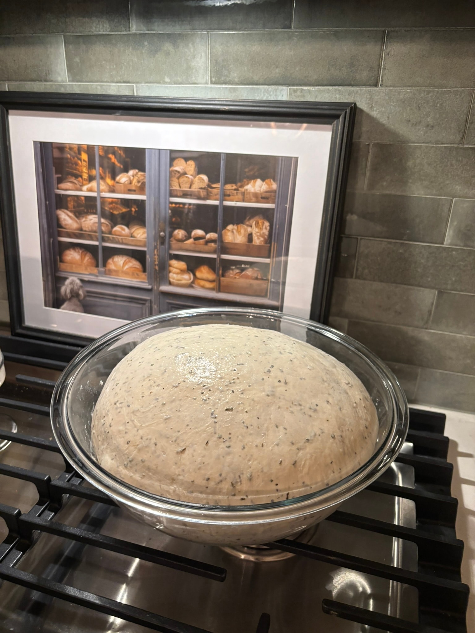 Cheesy pepperoni sourdough dough domed and ready after bulk fermentation, Kneadful Bread Co.